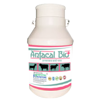 Anfacal Bio Plus