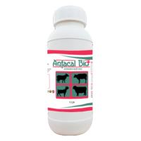 Anfacal Bio Plus