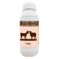 Liver King