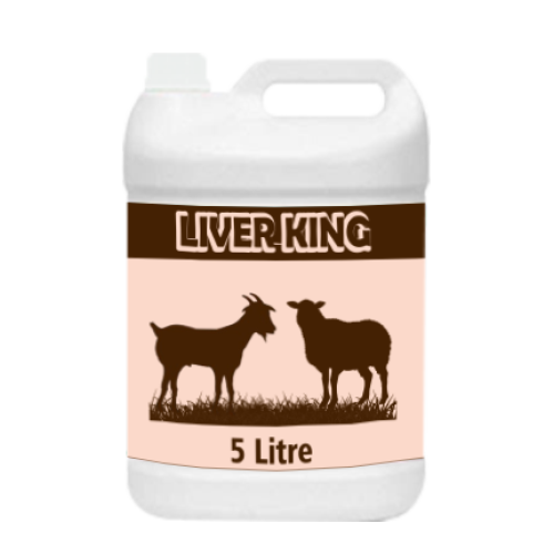 Liver King