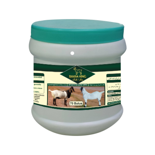 Bakra King