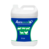 Anfagrow